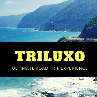 Triluxo Technologies Private Limited logo